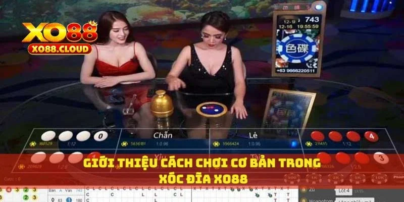 Giới thiệu cách chơi cơ bản trong xóc đĩa XO88
